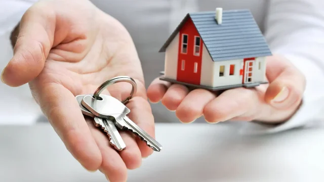 Real Estate and Property
